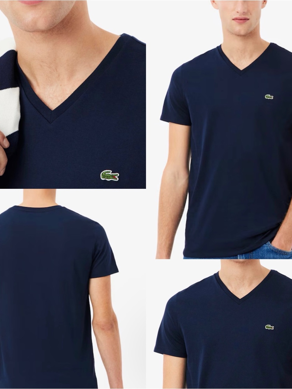 Lacoste Men's Small Navy Blue Pima Cotton Tee Green Crocodile Logo Classic